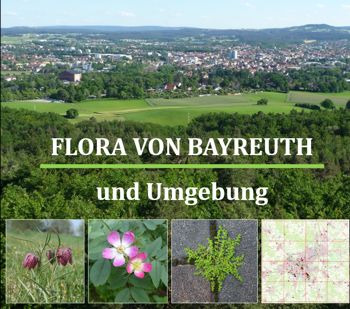Entwurf_Umschlag_Flora_BT_quadratisch