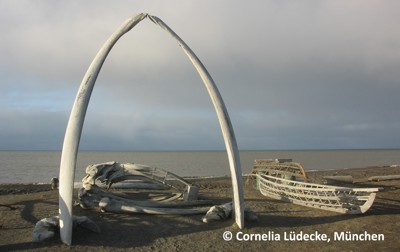 Barrow_Alaska_kl